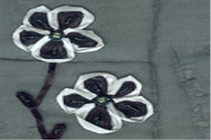Women Embroidery Fabric