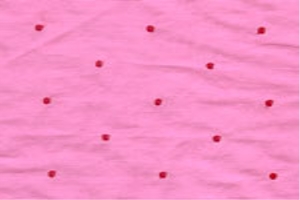 Women Embroidery Fabric