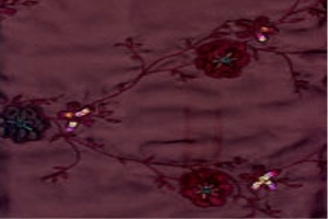 Women Embroidery Fabric