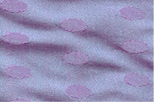 Women Exclusives Fabric