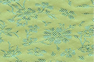 Women Exclusives Fabric