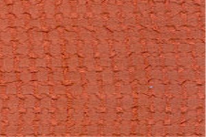 Women Exclusives Fabric