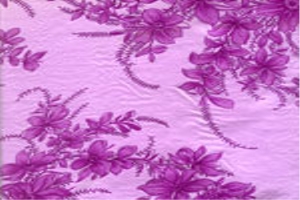 Women Prints Fabric