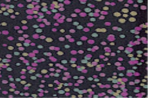 Women Prints Fabric