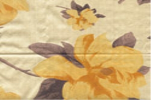 Women Prints Fabric
