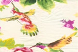 Women Prints Fabric